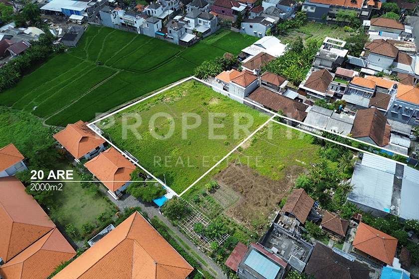 Main Land Plot Overview of Beautiful Land in Buduk with Ricefield View (PPL2876), listing by PROPERTIA.