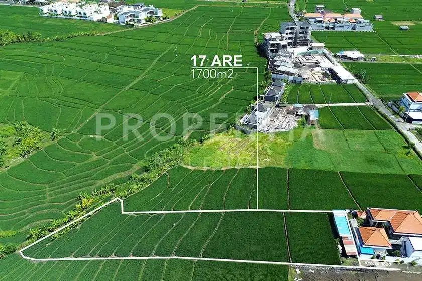 Land Plot Perspective 2 of Prime Seseh Development Land Near Seseh Beach (PPL3074), listing by PROPERTIA.