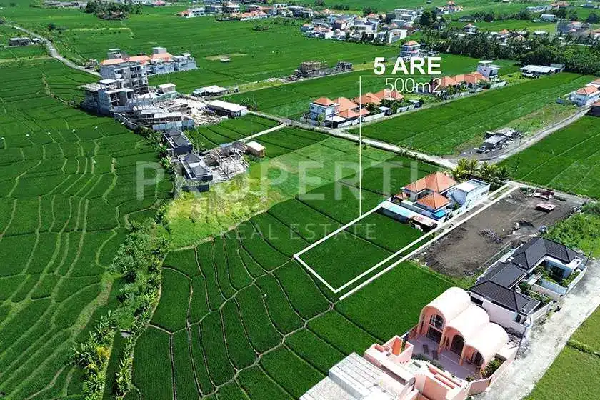 2 RESIZE SESEH 5 Land Plot Perspective 4 of Exceptional Plot Within Walking Distance to Seseh Beach (PPL3073), listing by PROPERTIA.
