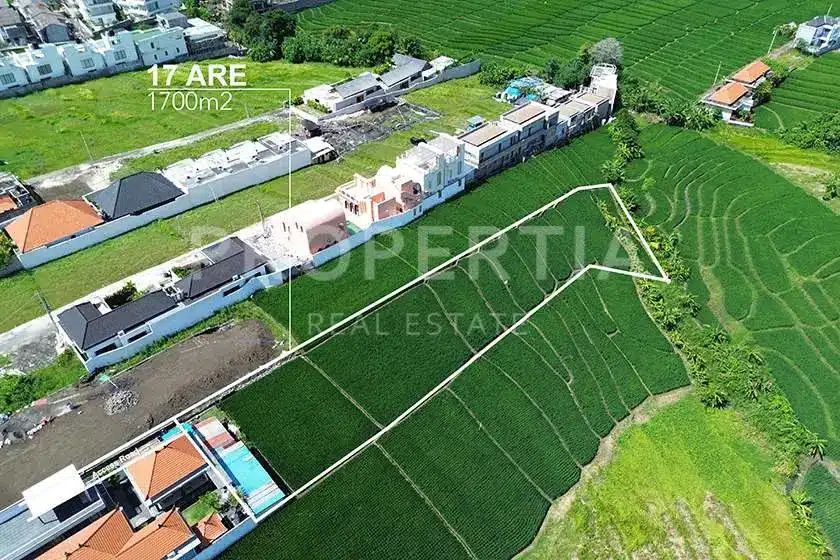 Land Plot Perspective 3 of Prime Seseh Development Land Near Seseh Beach (PPL3074), listing by PROPERTIA.