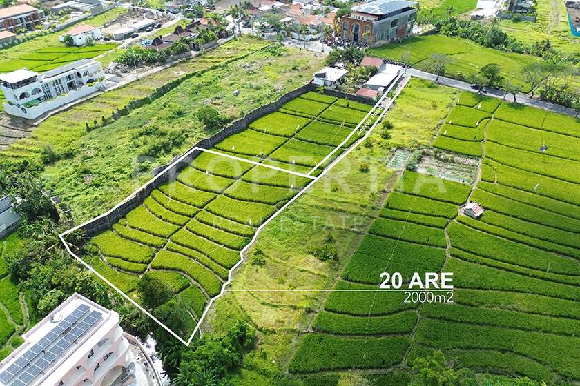 2 RESIZE SESEH Land Plot Perspective 3 of Prime Land Investment in Seseh Close to the Beach (PPL3177), listing by PROPERTIA.