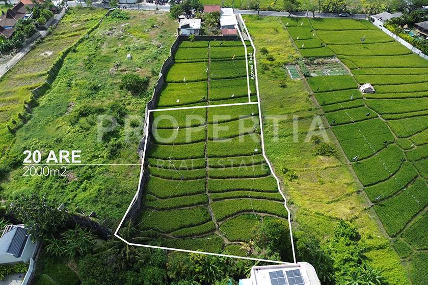 3 RESIZE SESEH 20 Land Plot Perspective 4 of Prime Land Investment in Seseh Close to the Beach (PPL3177), listing by PROPERTIA.