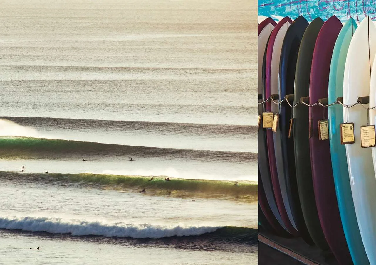 Canggu Properties in Bali — PROPERTIA.
