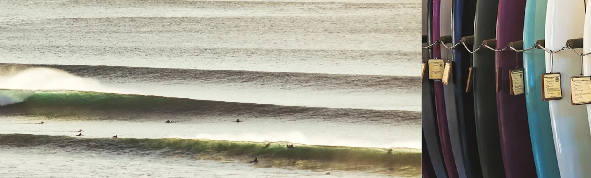 Canggu Properties in Bali — PROPERTIA.